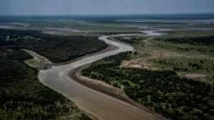 El Niño y la sequía amenazan conservación de la Amazonía brasileña