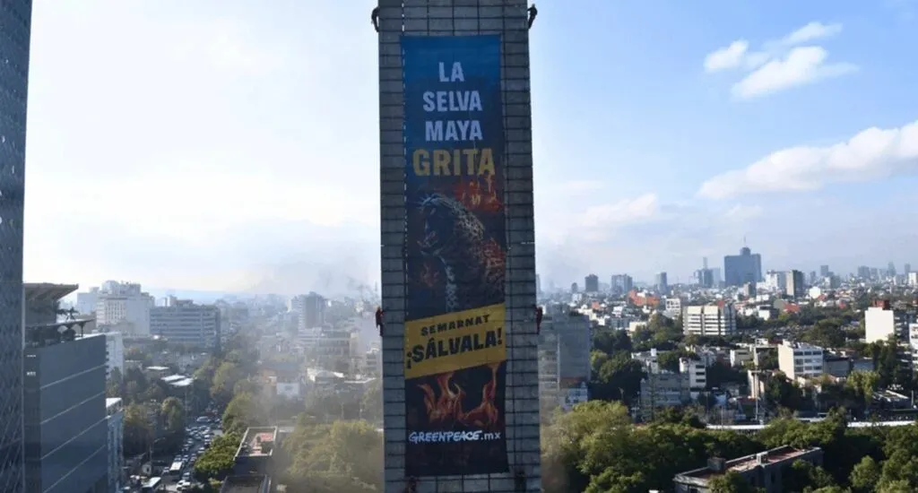 Greenpeace cumple 1 año de levantar la voz en defensa de Selva Maya