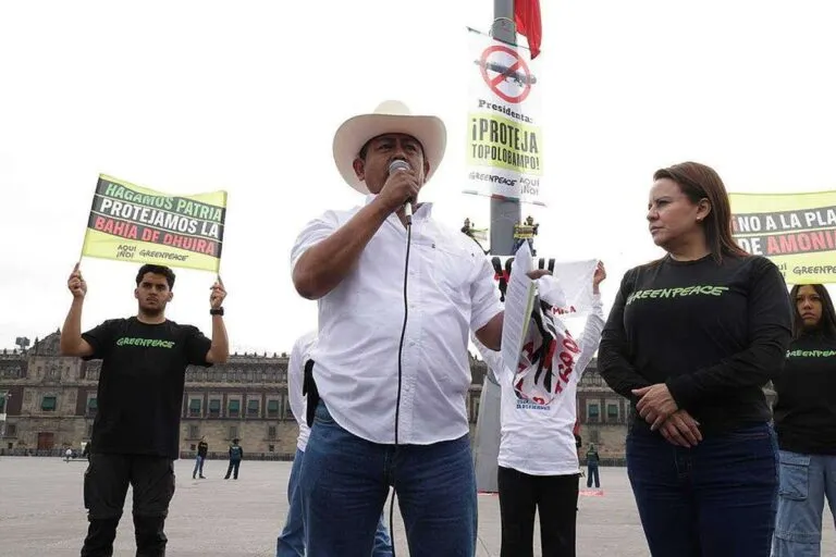 Greenpeace insta a Sheinbaum a proteger Topolobampo