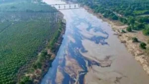 Juez concede amparo a 2 mil pescadores afectados por derrame de hidrocarburos en Veracruz
