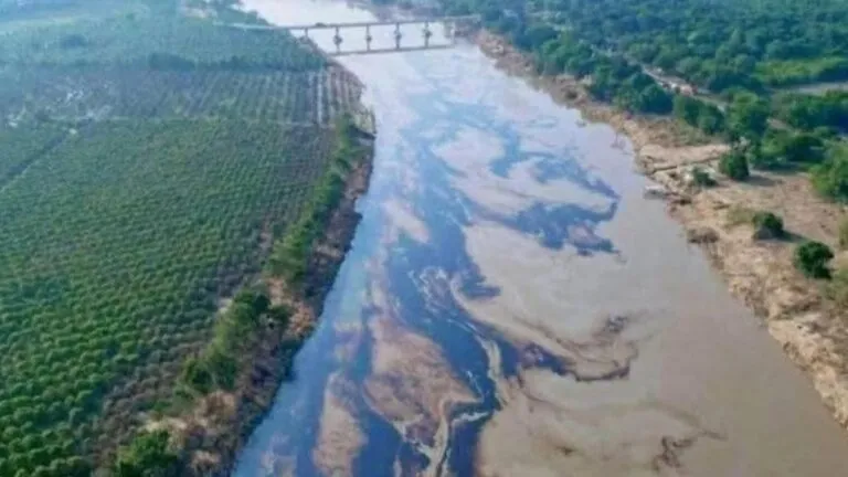 Juez concede amparo a 2 mil pescadores afectados por derrame de hidrocarburos en Veracruz