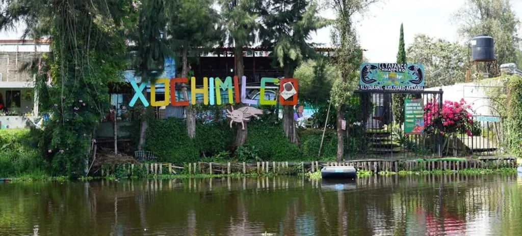 La historia de los chinamperos de Xochimilco viajó por festivales internacionales y llegó hasta la COP30
