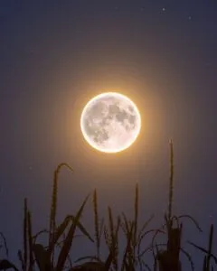 Luna de la Cosecha promete ser un evento celestial imperdible