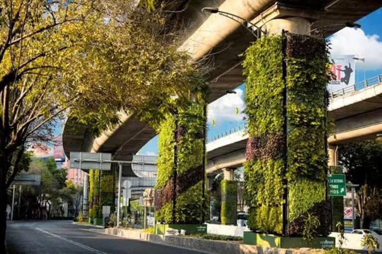 Más de mil columnas de Cdmx son transformadas en jardines verticales