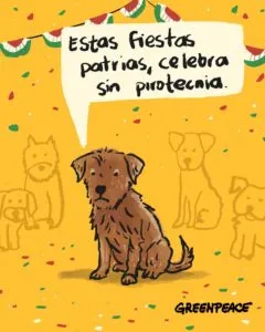 Pirotecnia puede dañar el ambiente y a los animales de compañía