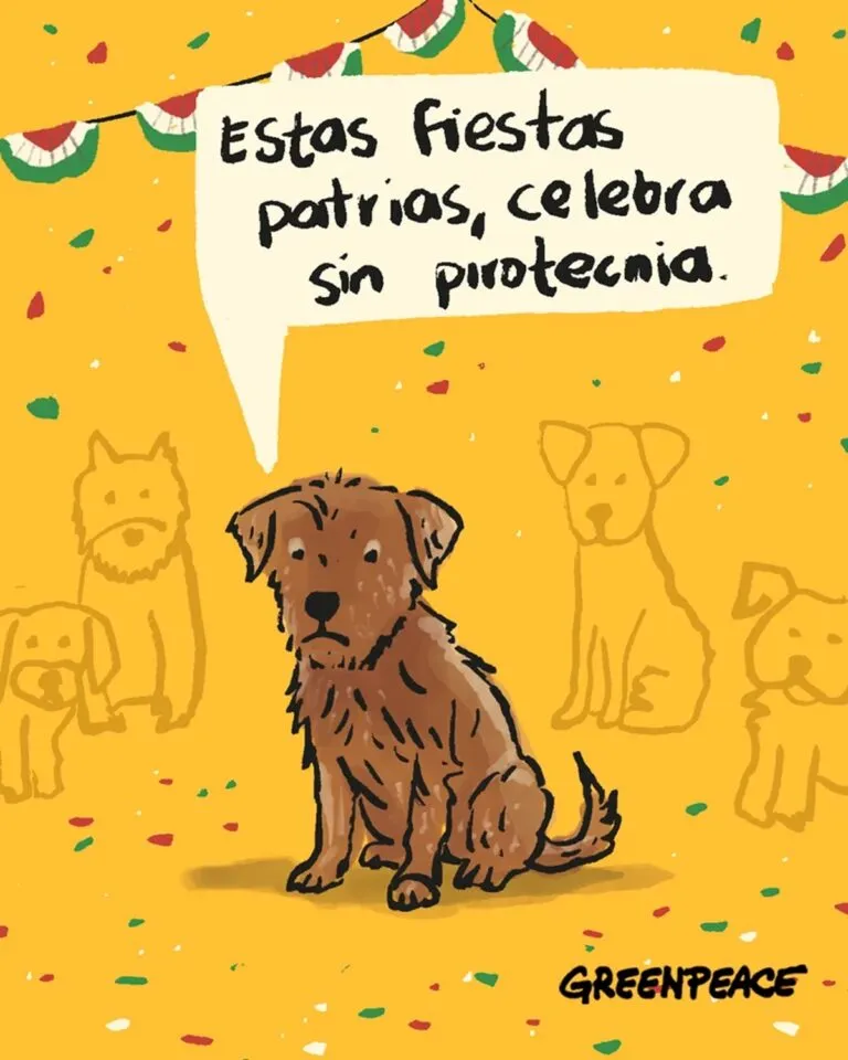 Pirotecnia puede dañar el ambiente y a los animales de compañía