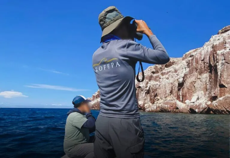 Realizan multioperativo en 43 Áreas Naturales Protegidas en México