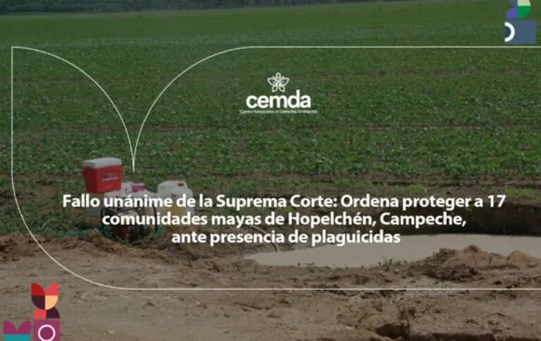 SCJN ordena proteger a 17 comunidades mayas ante presencia de plaguicidas