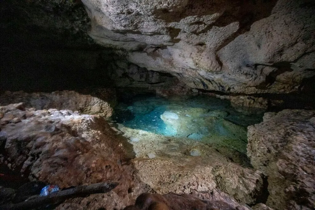 Agua que enferma: Yucatán en peligro por las megagranjas porcícolas