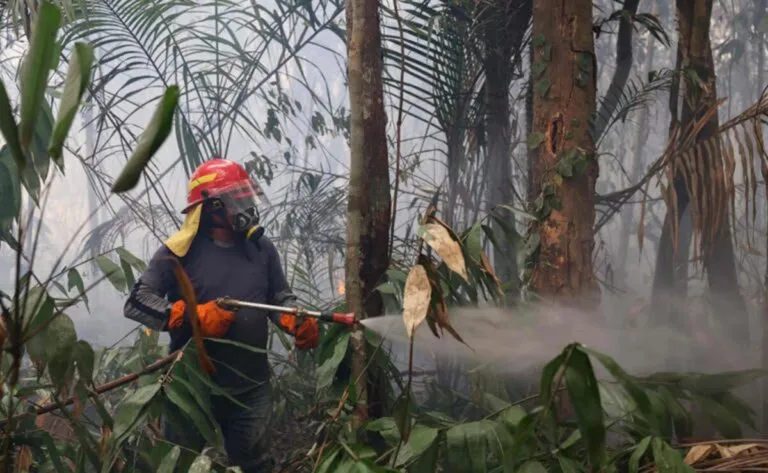 Brasil investiga aumento de incendios criminales en la Amazonía