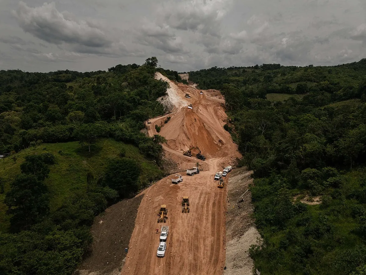 Denuncian destrucción de bosques y selvas en Chiapas