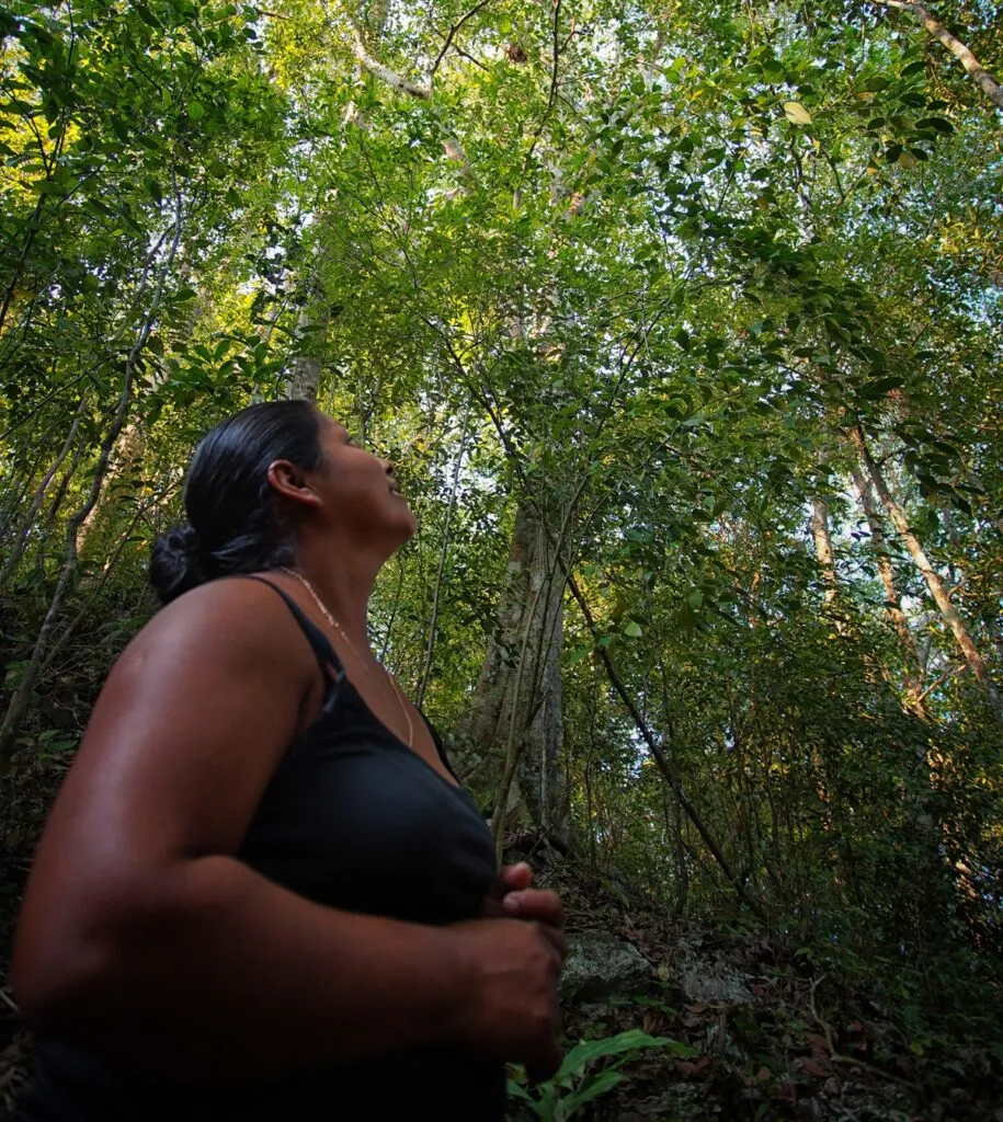 La fuerza de un vínculo ancestral: mujeres y ecosistemas forestales