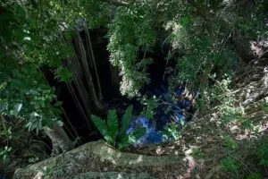 Megagranjas impactan negativamente en el Gran Acuífero Maya