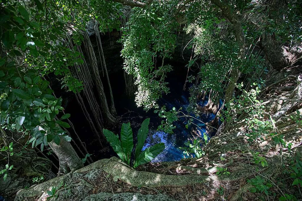 Megagranjas impactan negativamente en el Gran Acuífero Maya
